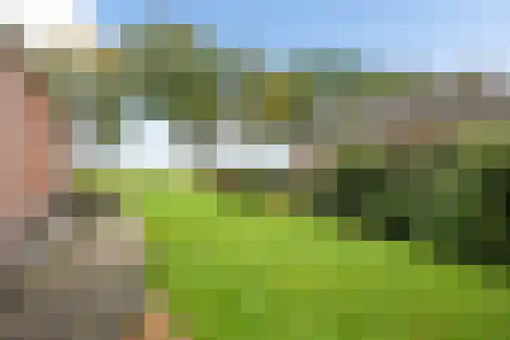 Zuiderdiep 419 Nieuw-Buinen thumbnail 44