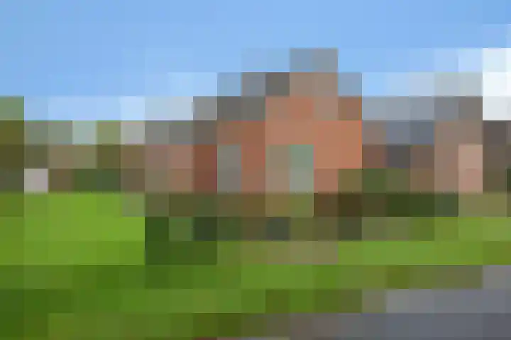 Zuiderdiep 419 Nieuw-Buinen thumbnail 45