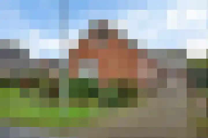 Zuiderdiep 419 Nieuw-Buinen thumbnail 5