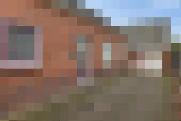 Zuiderdiep 419 Nieuw-Buinen thumbnail 6