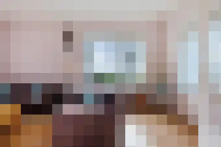 Zuiderdiep 419 Nieuw-Buinen thumbnail 9