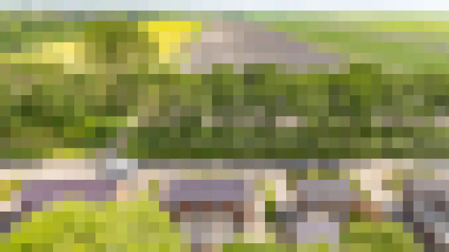 Zuiderdiep 421 2e Exloërmond thumbnail 23