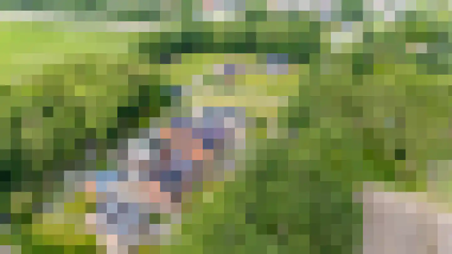 Zuiderdiep 421 2e Exloërmond thumbnail 24