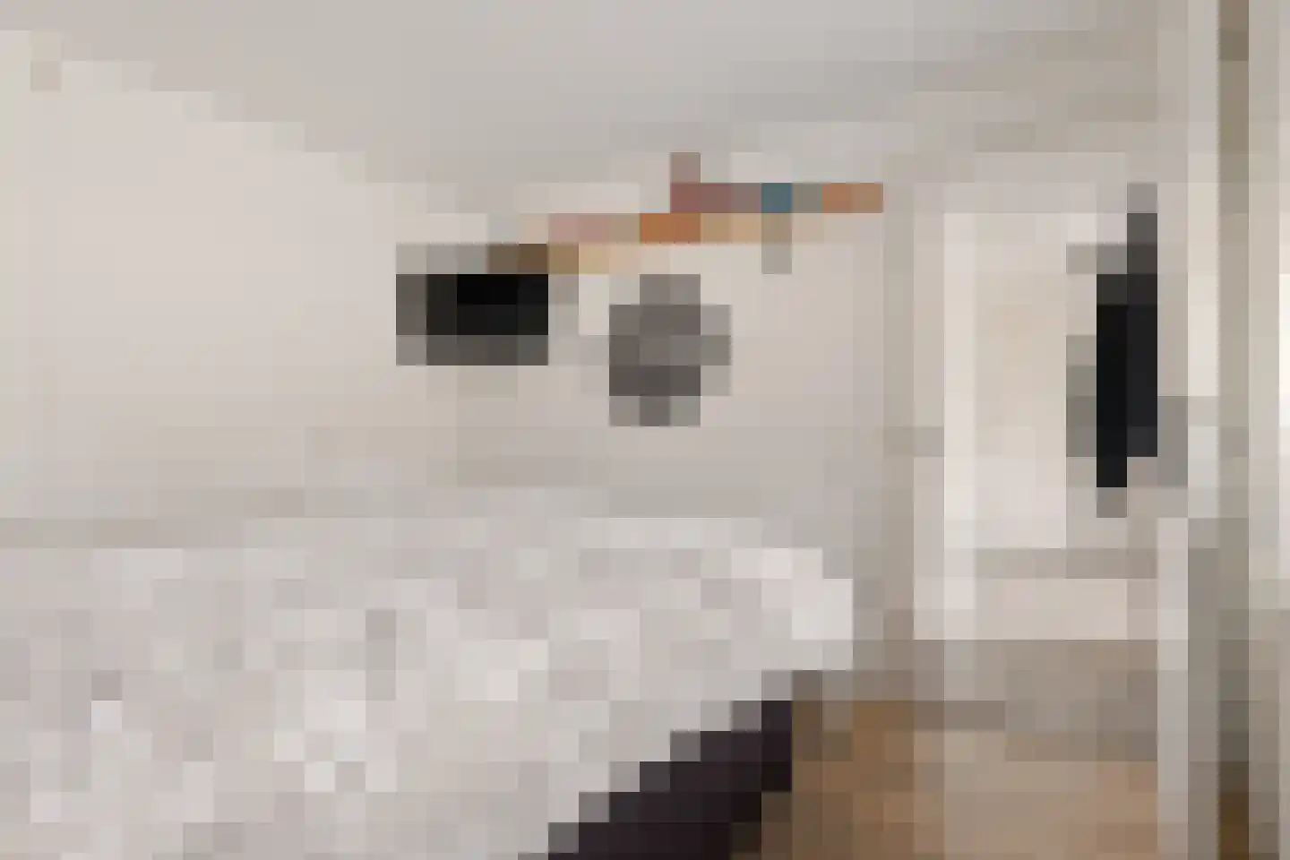 Zuiderdiep 422 Valthermond thumbnail 17