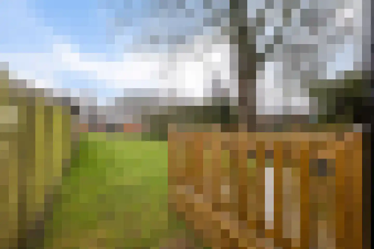 Zuiderdiep 422 Valthermond thumbnail 41