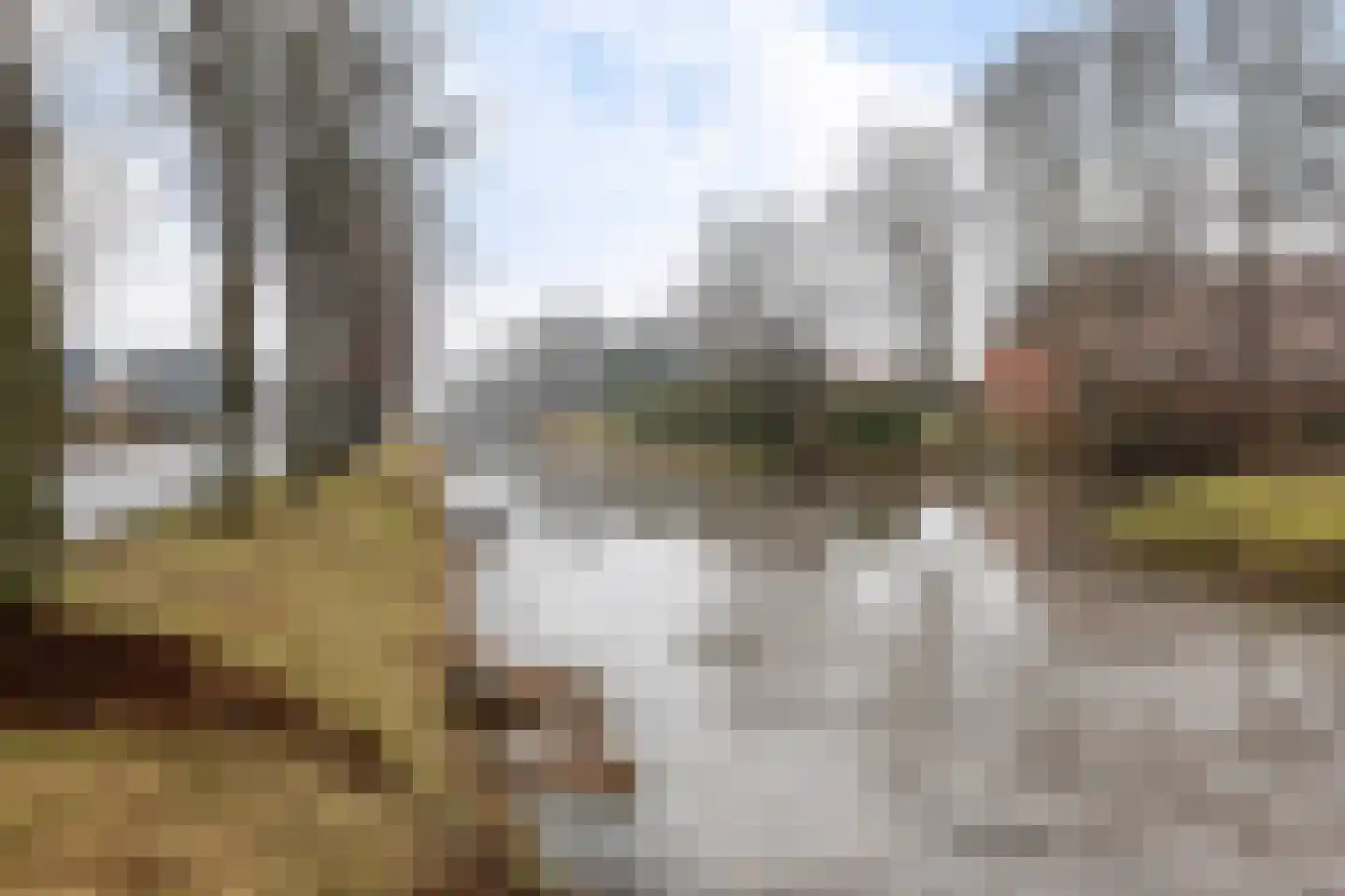 Zuiderdiep 422 Valthermond thumbnail 6