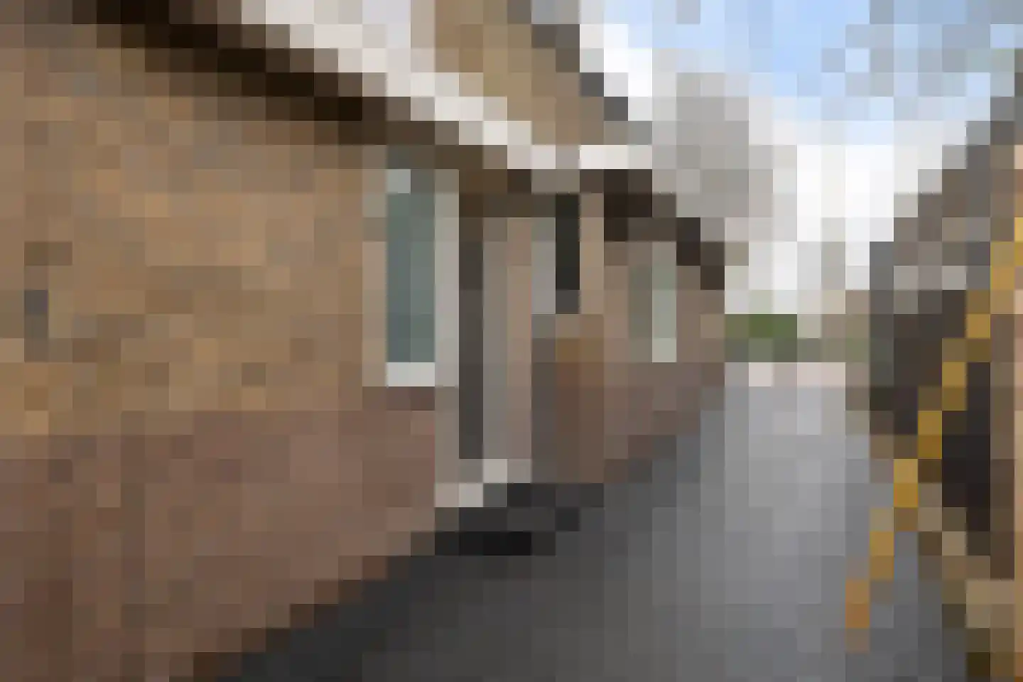 Zuiderdiep 422 Valthermond thumbnail 9