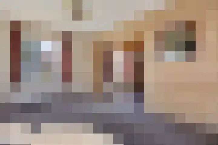Zuiderdiep 435 Valthermond thumbnail 10
