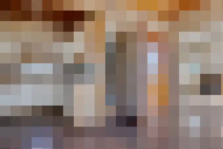 Zuiderdiep 435 Valthermond thumbnail 12