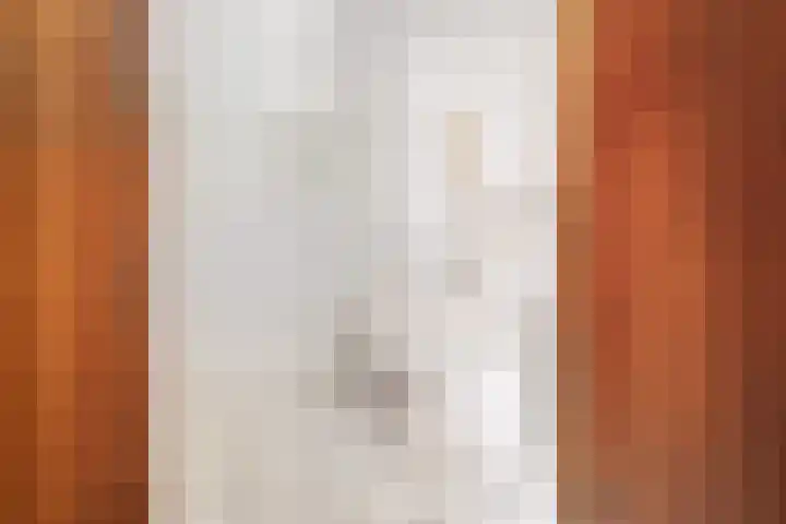 Zuiderdiep 435 Valthermond thumbnail 13
