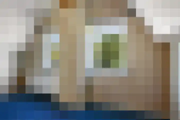 Zuiderdiep 435 Valthermond thumbnail 22