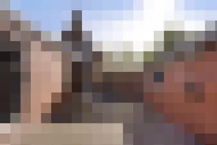 Zuiderdiep 435 Valthermond thumbnail 32