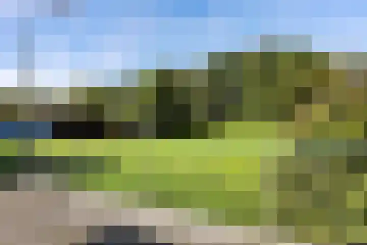 Zuiderdiep 435 Valthermond thumbnail 35