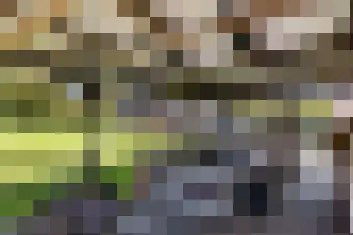 Zuiderdiep 435 Valthermond thumbnail 36