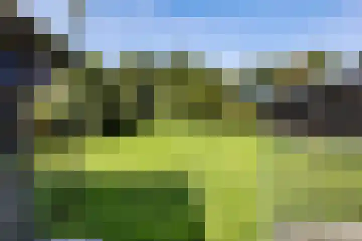 Zuiderdiep 435 Valthermond thumbnail 37
