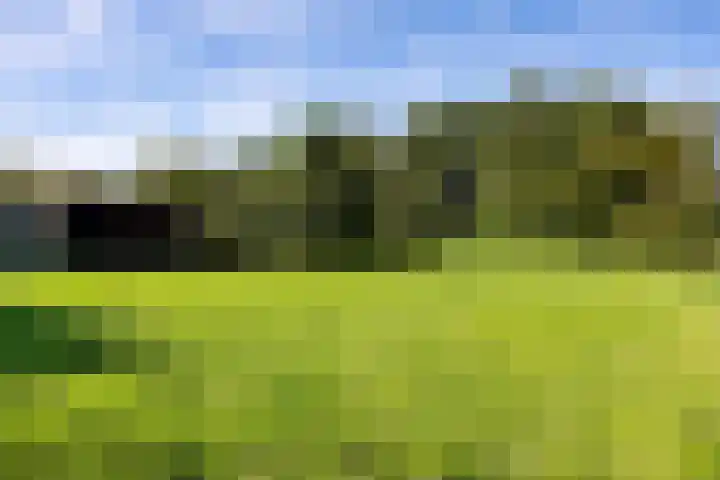 Zuiderdiep 435 Valthermond thumbnail 38