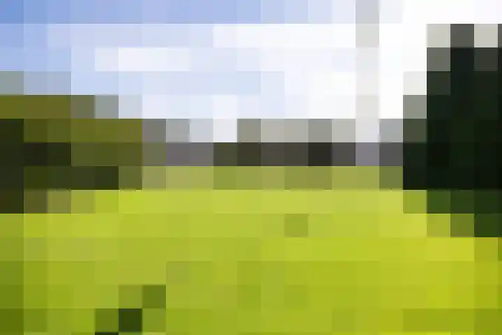 Zuiderdiep 435 Valthermond thumbnail 39