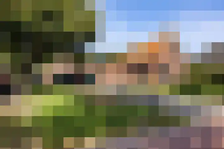 Zuiderdiep 435 Valthermond thumbnail 4
