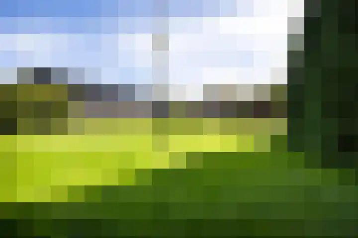 Zuiderdiep 435 Valthermond thumbnail 40