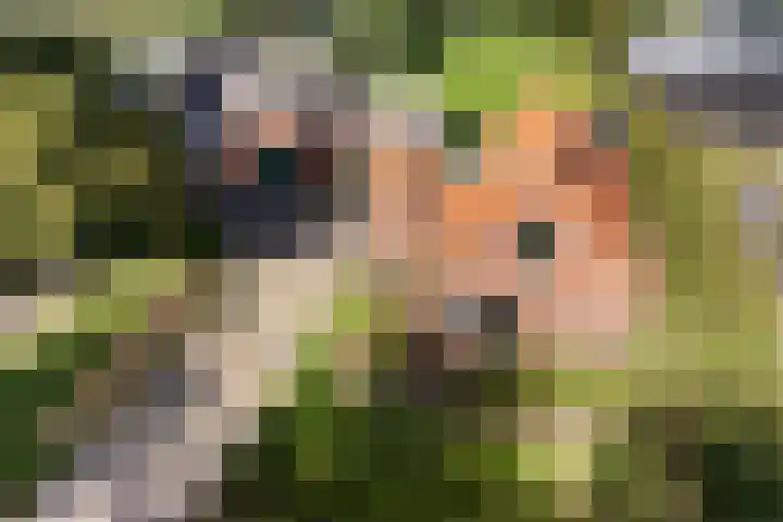 Zuiderdiep 435 Valthermond thumbnail 44