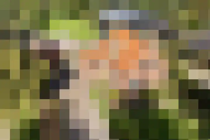 Zuiderdiep 435 Valthermond thumbnail 45