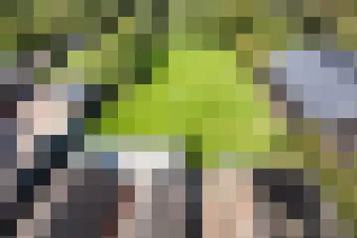 Zuiderdiep 435 Valthermond thumbnail 46