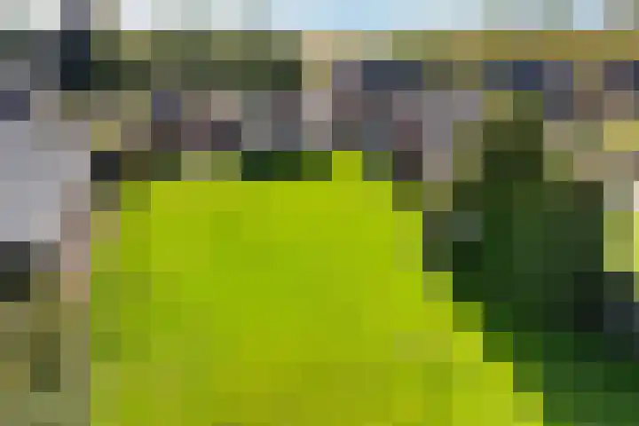 Zuiderdiep 435 Valthermond thumbnail 47