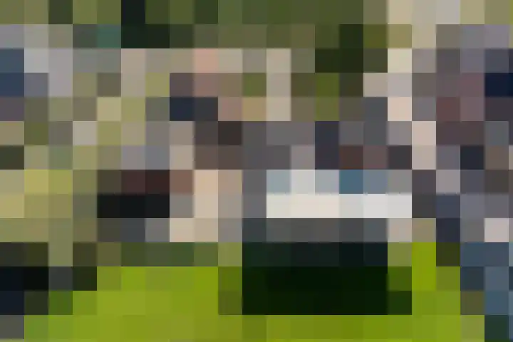 Zuiderdiep 435 Valthermond thumbnail 48