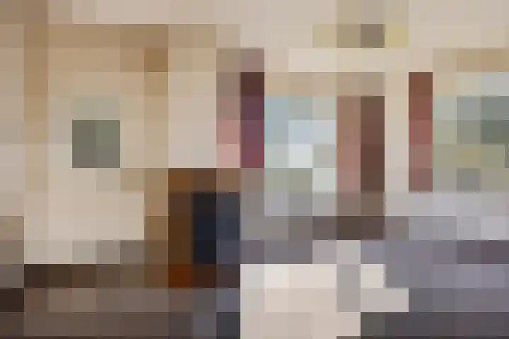 Zuiderdiep 435 Valthermond thumbnail 9