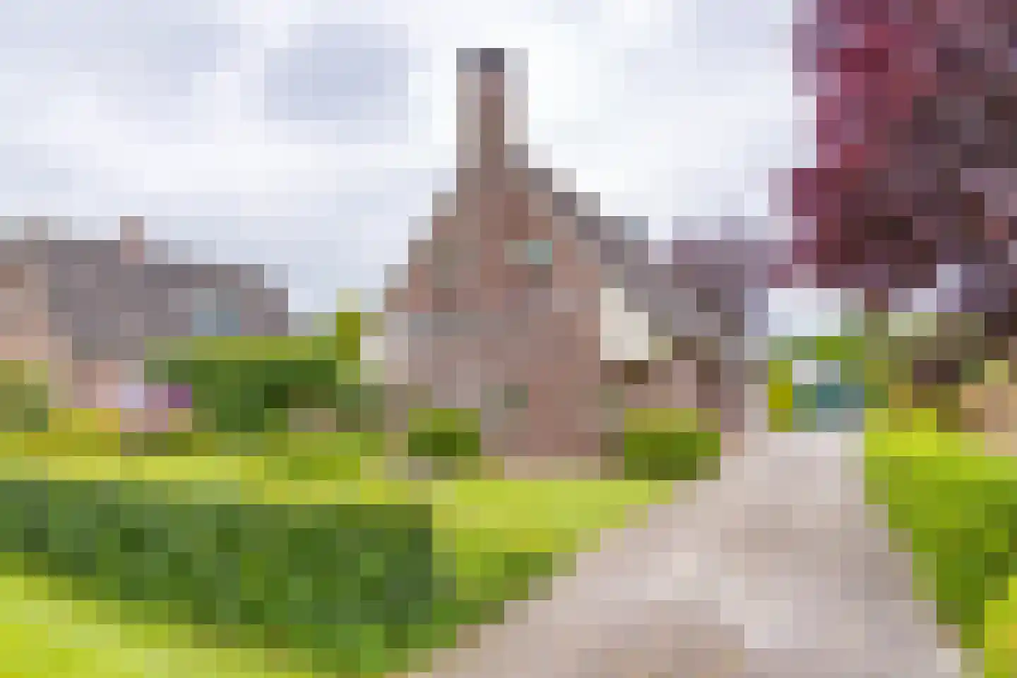 Zuiderdiep 437 in Nieuw-Buinen