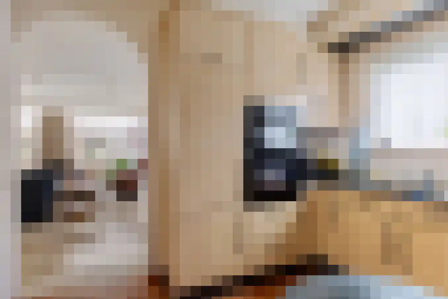Zuiderdiep 437 Nieuw-Buinen thumbnail 18