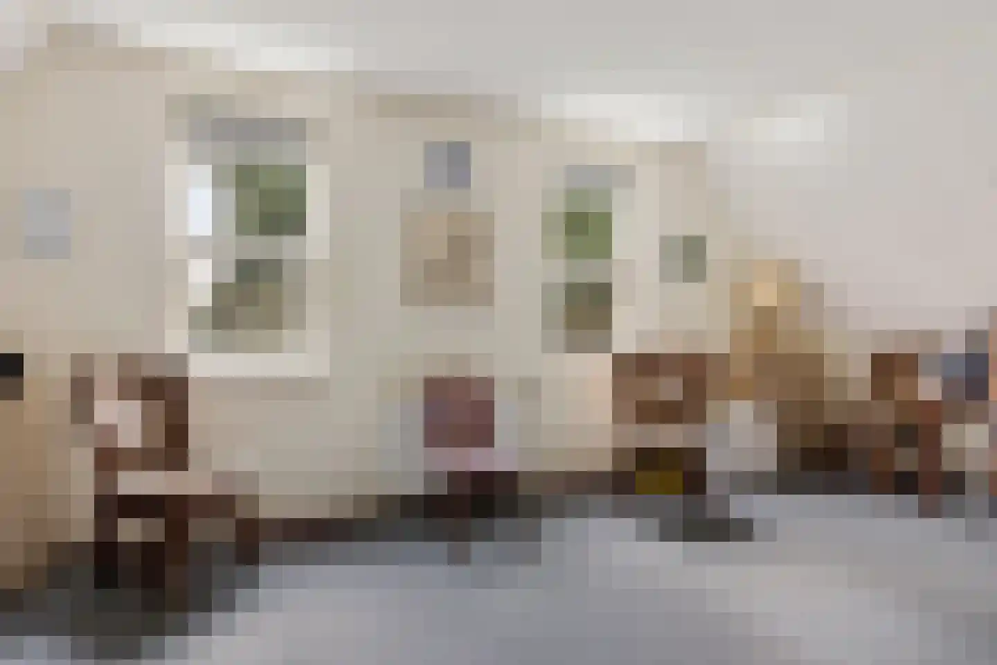 Zuiderdiep 437 Nieuw-Buinen thumbnail 20