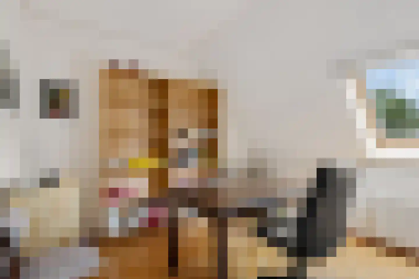 Zuiderdiep 437 Nieuw-Buinen thumbnail 26