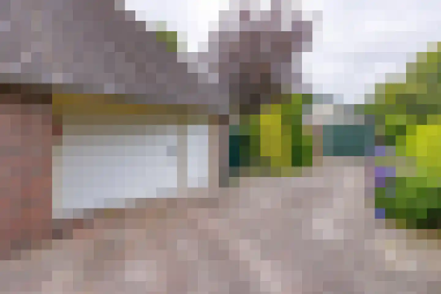 Zuiderdiep 437 Nieuw-Buinen thumbnail 29