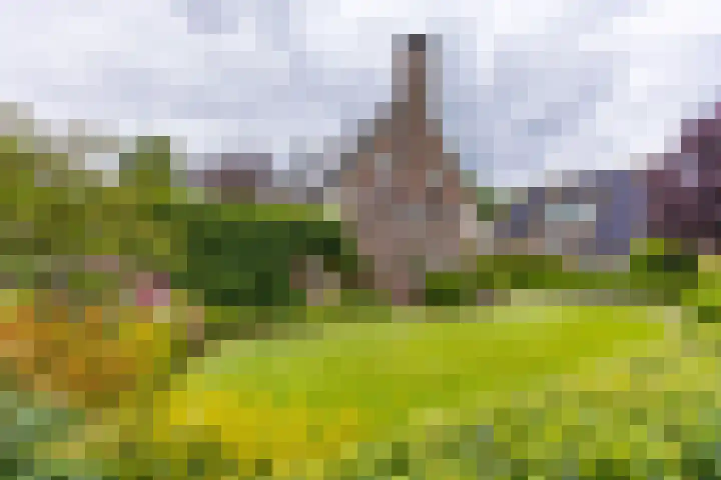 Zuiderdiep 437 Nieuw-Buinen foto 3