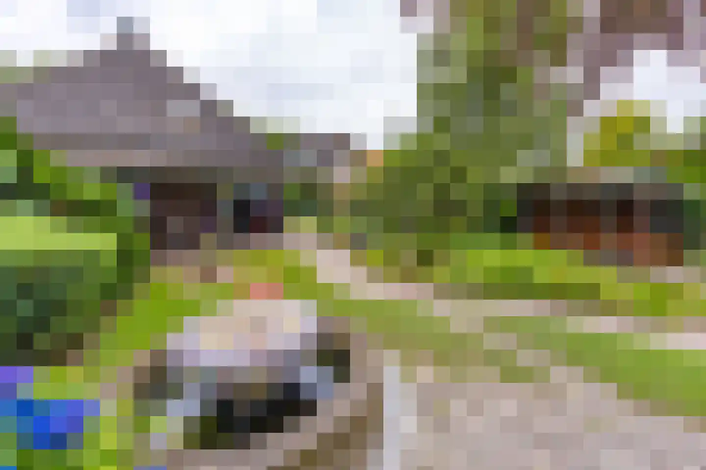 Zuiderdiep 437 Nieuw-Buinen thumbnail 33