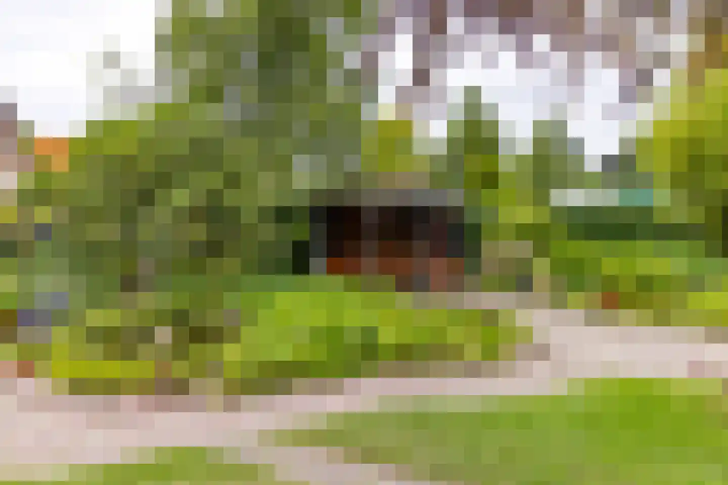 Zuiderdiep 437 Nieuw-Buinen thumbnail 34