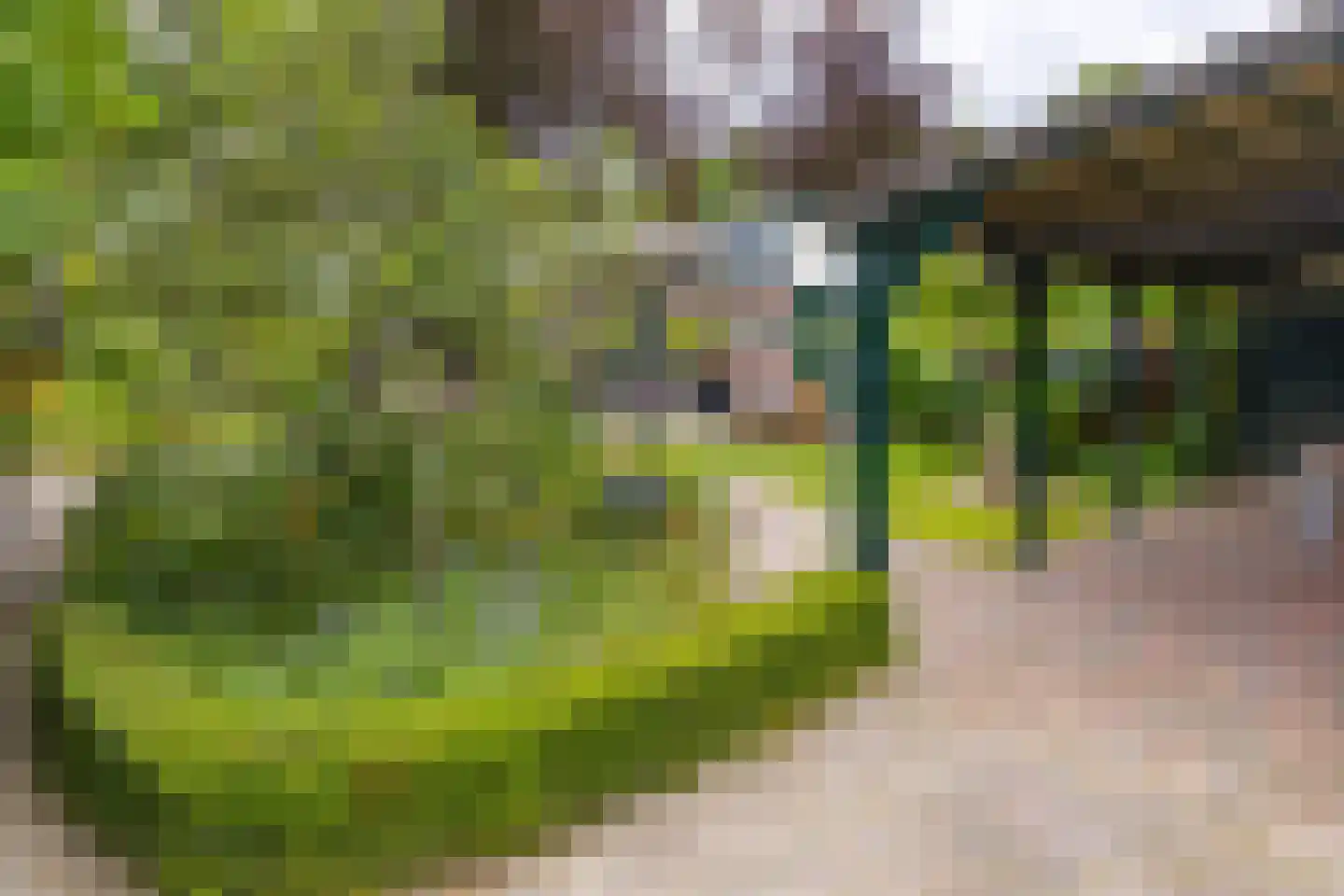 Zuiderdiep 437 Nieuw-Buinen thumbnail 35