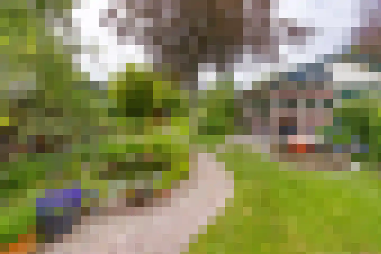 Zuiderdiep 437 Nieuw-Buinen thumbnail 36