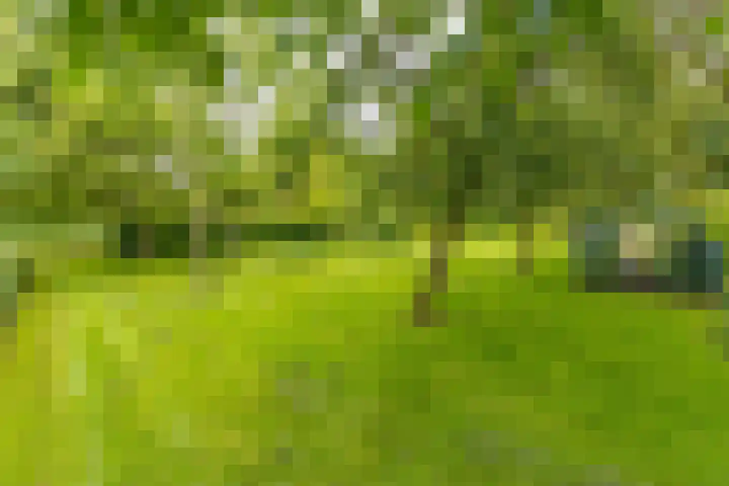 Zuiderdiep 437 Nieuw-Buinen thumbnail 38