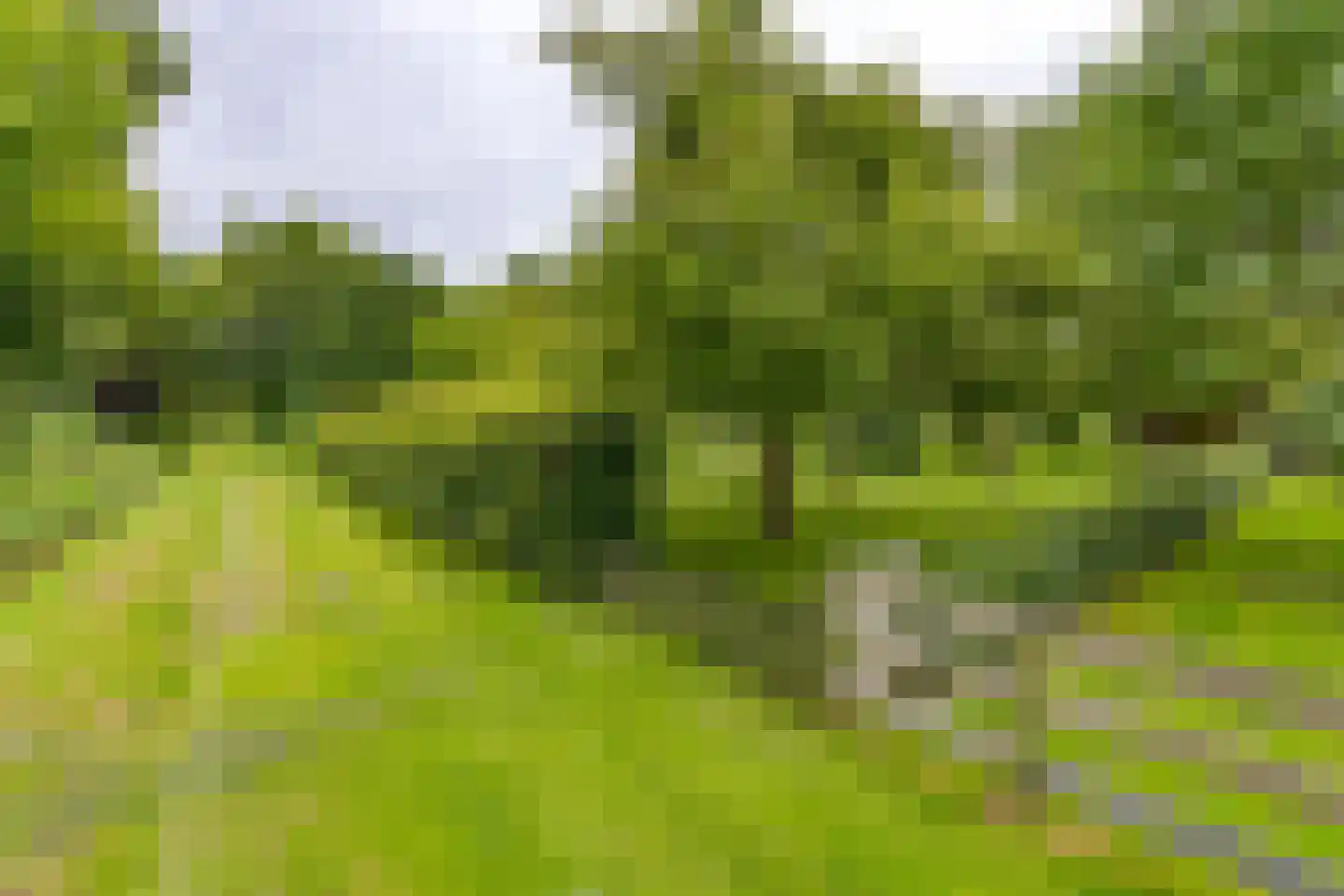 Zuiderdiep 437 Nieuw-Buinen thumbnail 39