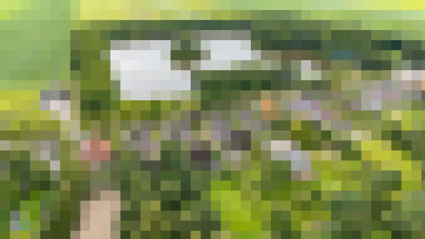 Zuiderdiep 437 Nieuw-Buinen thumbnail 4