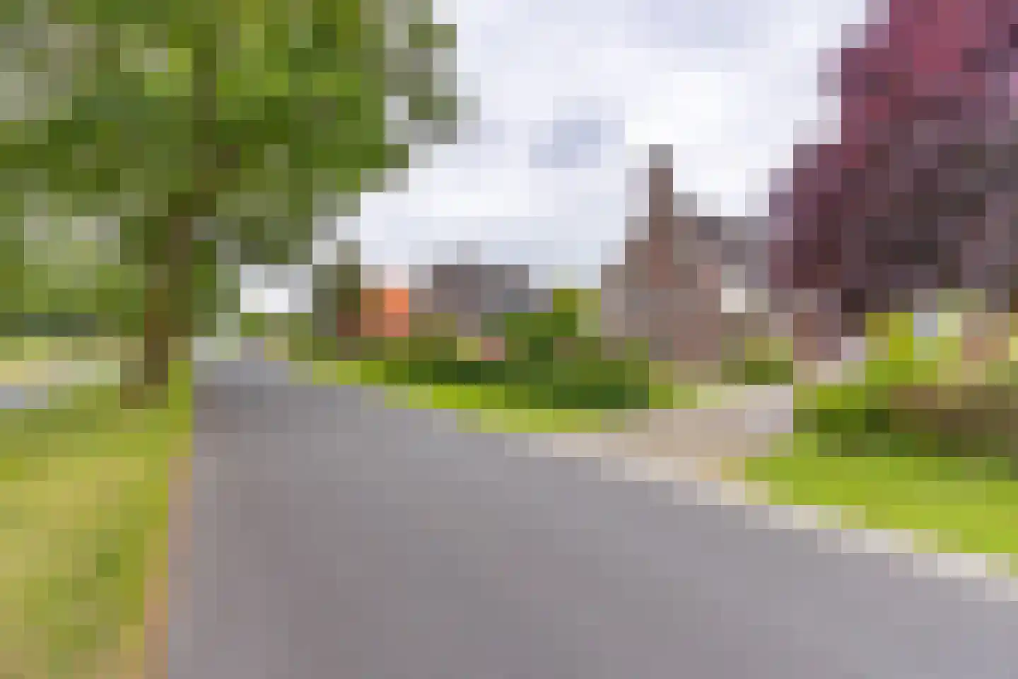 Zuiderdiep 437 Nieuw-Buinen thumbnail 40