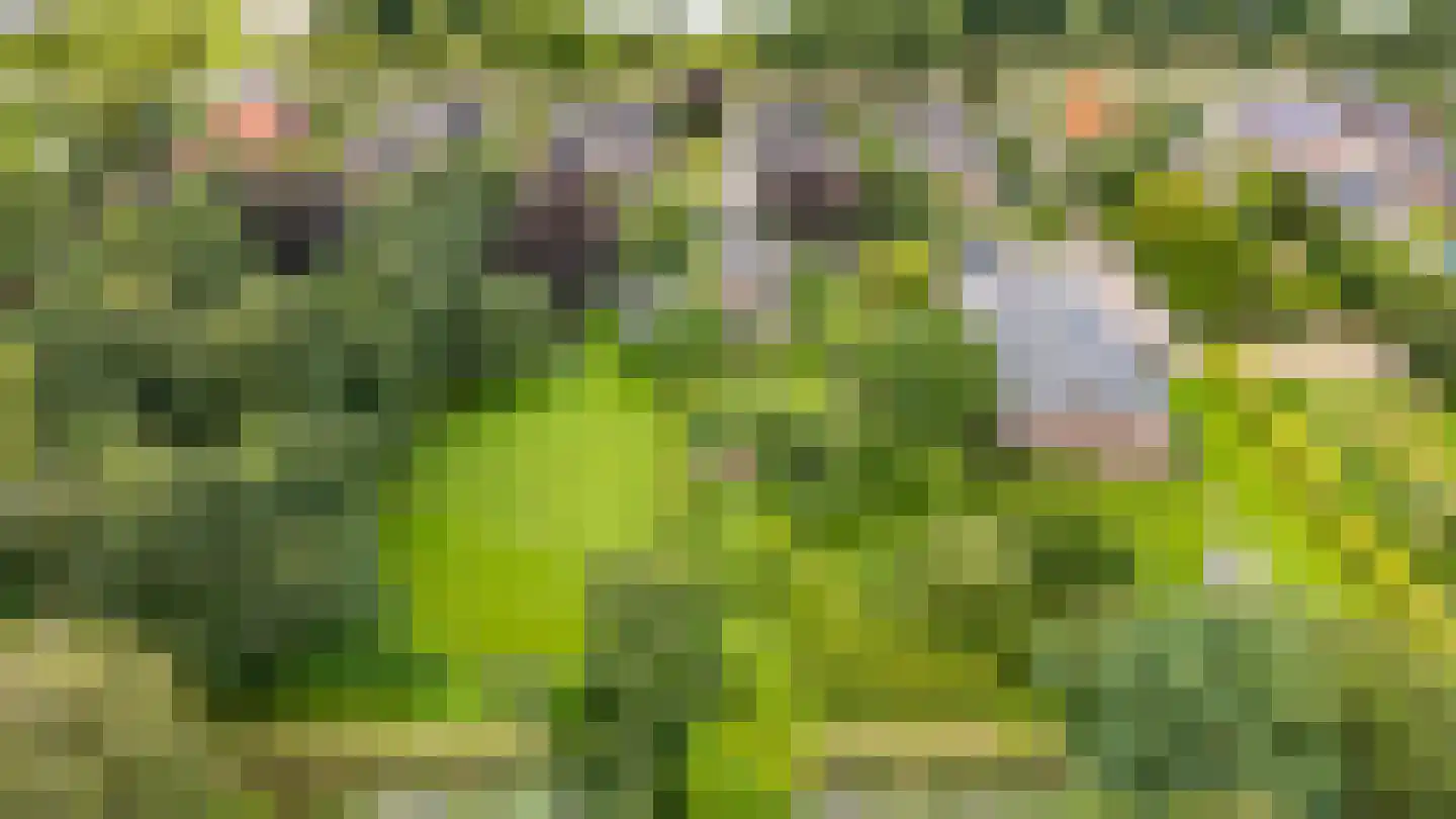 Zuiderdiep 437 Nieuw-Buinen thumbnail 42