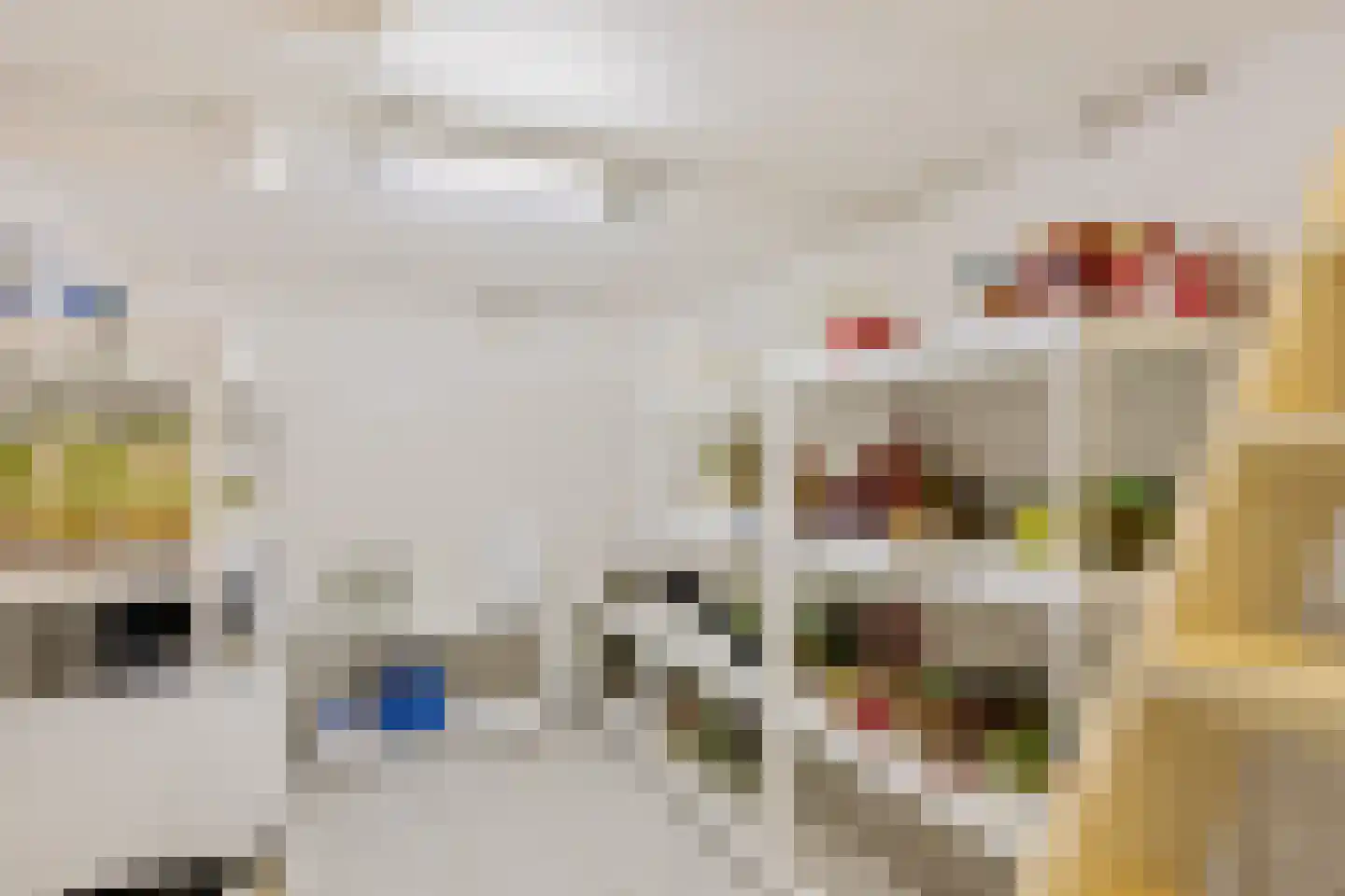 Zuiderdiep 437 Nieuw-Buinen thumbnail 8