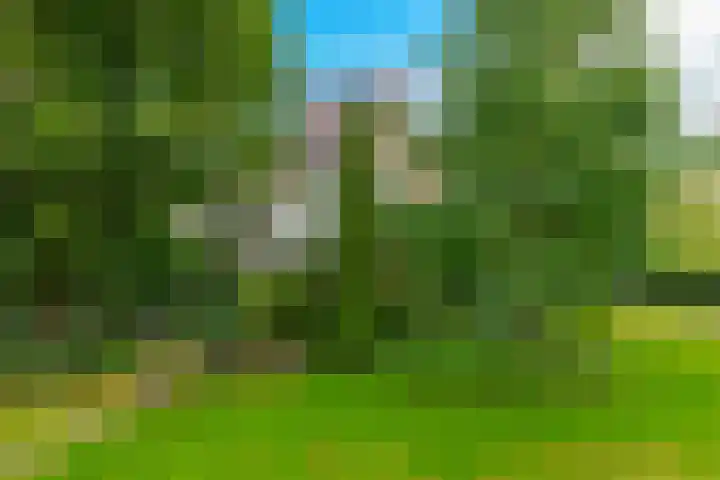 Zuiderdiep 448 A Valthermond thumbnail 10