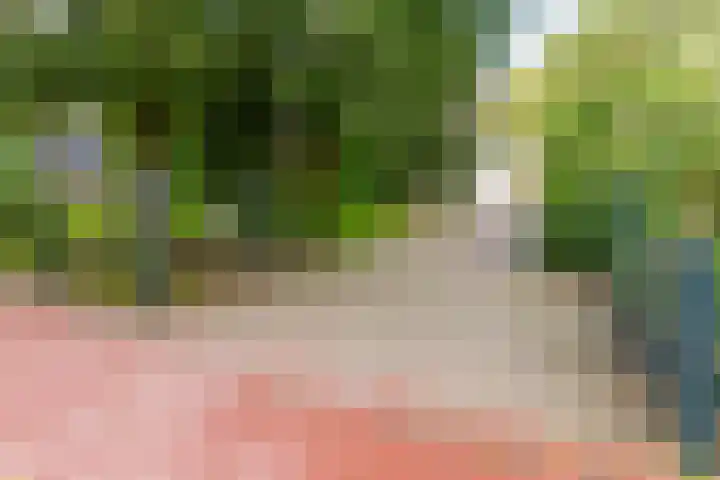 Zuiderdiep 448 A Valthermond thumbnail 11