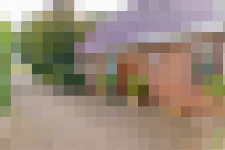 Zuiderdiep 448 A Valthermond thumbnail 13