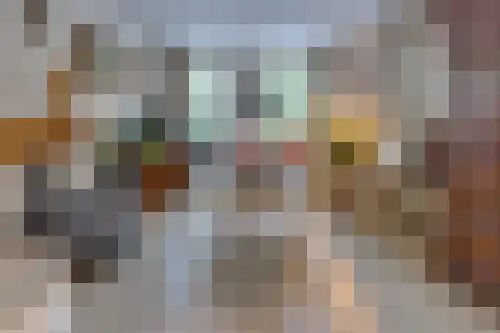 Zuiderdiep 448 A Valthermond thumbnail 15