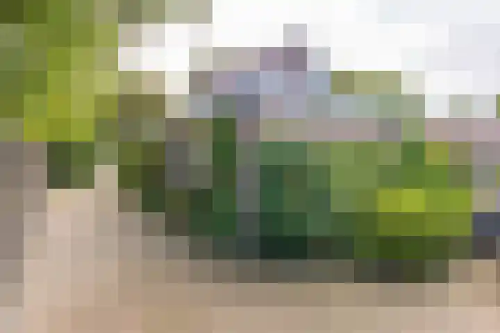 Zuiderdiep 448 A Valthermond thumbnail 46